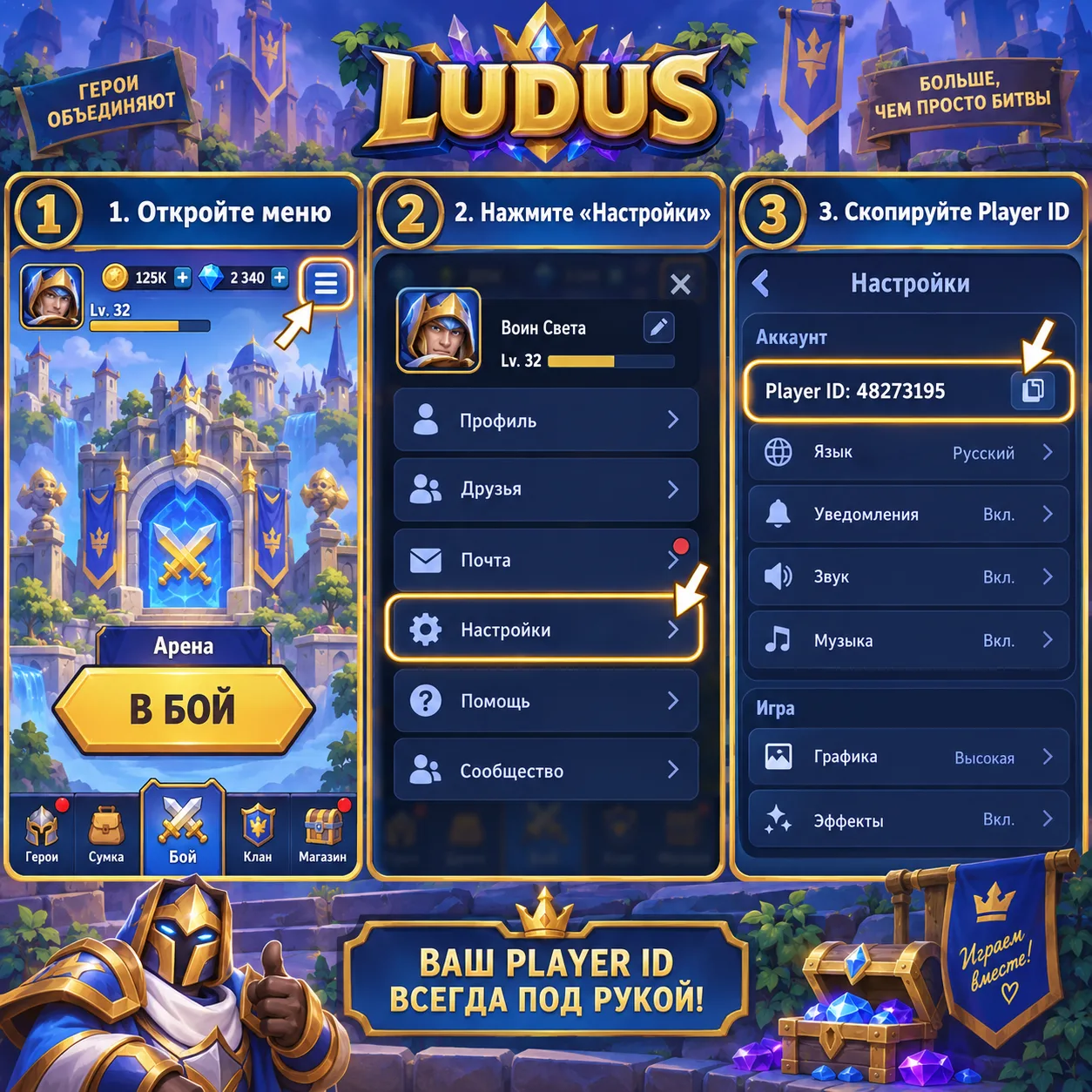 Где найти игровой ID в настройках LUDUS