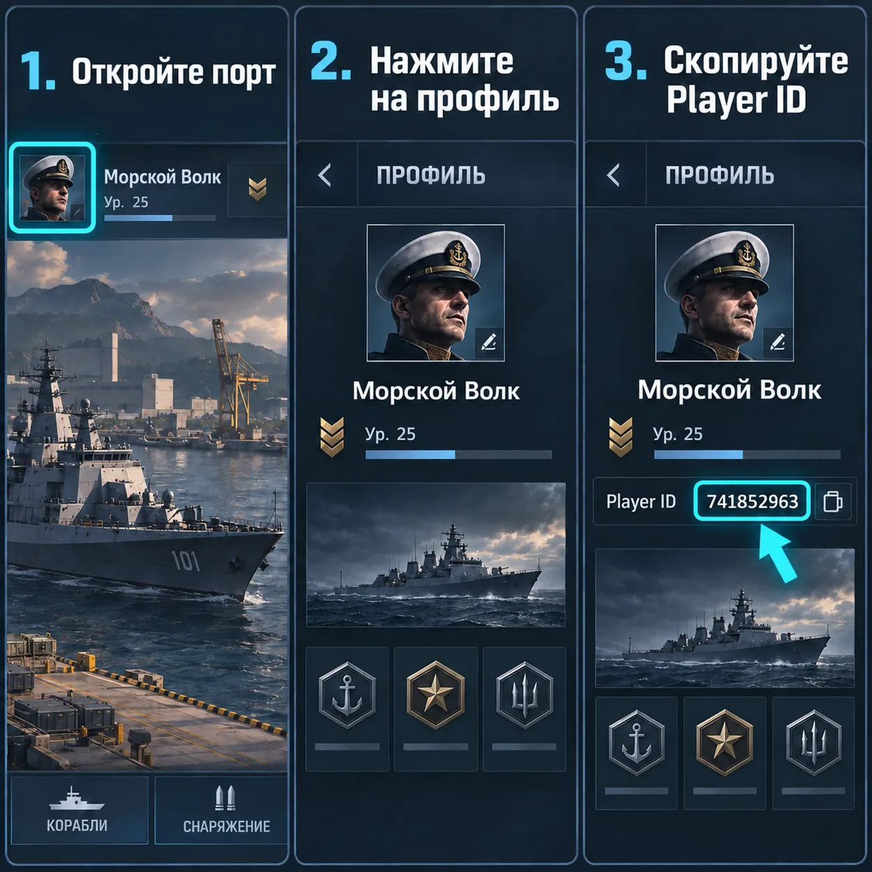Где найти Player ID в карточке профиля Modern Warships