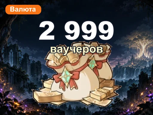 2 999 ваучеров