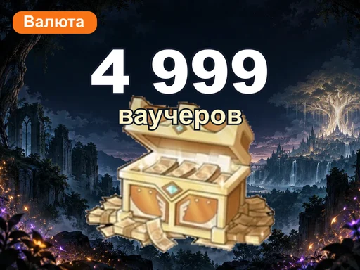 4 999 ваучеров