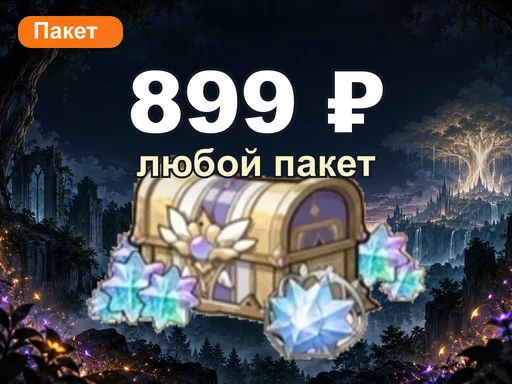 Любой пакет за 899 ₽