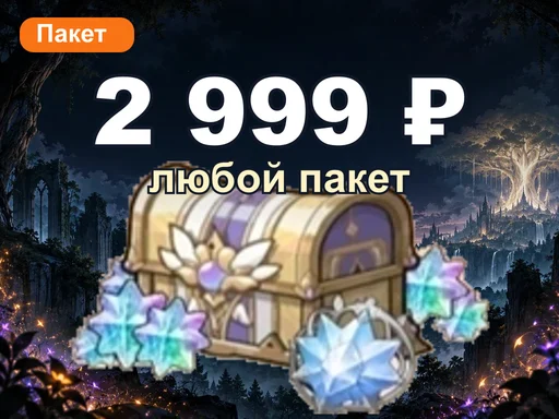 Любой пакет за 2 999 ₽