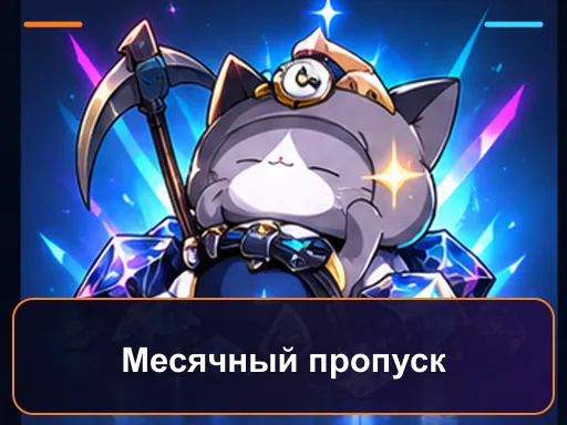 Месячный пропуск
