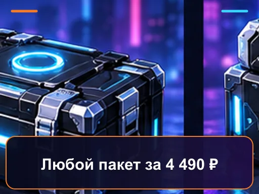 Любой пакет за 4 490 ₽