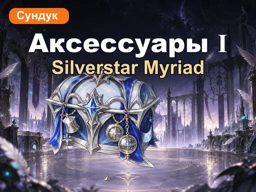 Сундук аксессуаров Silverstar Myriad Ⅰ