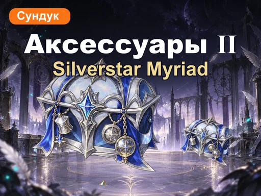 Сундук аксессуаров Silverstar Myriad Ⅱ