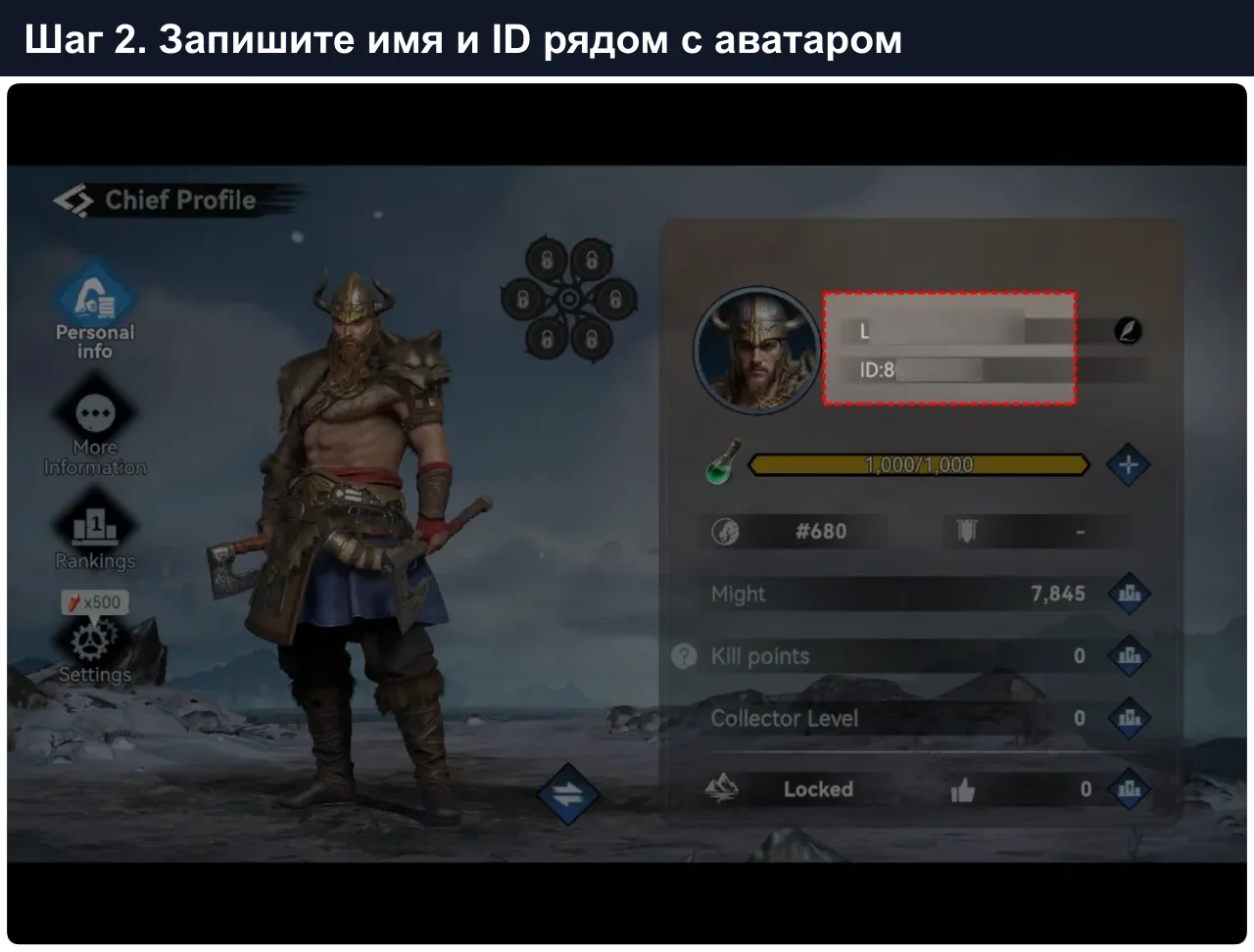 Где найти имя персонажа и ID пользователя Viking Rise